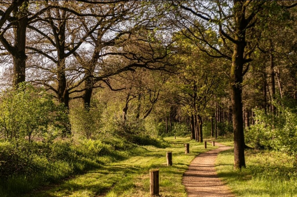 Mountainbike route 35K